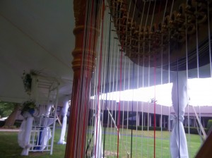 Wisconsin Harpist Beloit