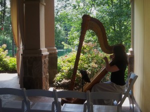 Canton Ohio Harpist Gervasi Vineyard