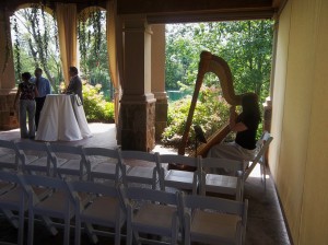 Canton Wedding Harpist Gervasi