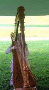 Jackson Ohio Harpist Winery at Camba