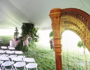 Southern Ohio Harpist