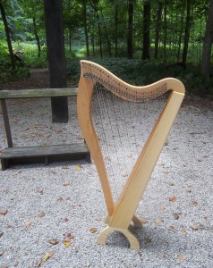 Celtic Harpist Illinois