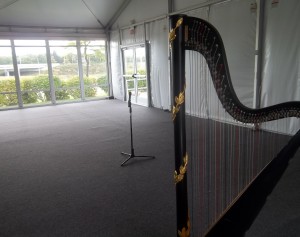 Milwaukee Harpist