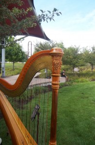 South Bend Wedding Harpist