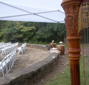 Springfield Harpist for Weddings