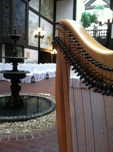 Quad Cities Wedding Music Harp Bettendorf
