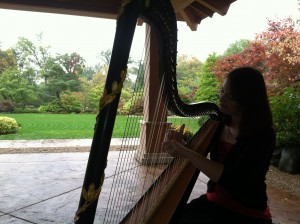 Rockford Wedding Harpist