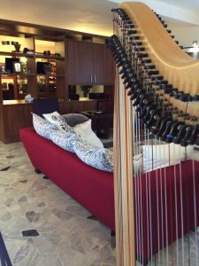 Lagos Irish Harpist