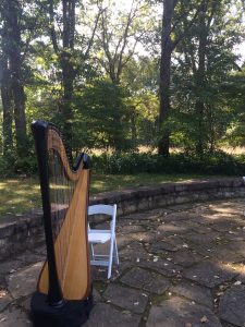 Springfield Illinois Harpist