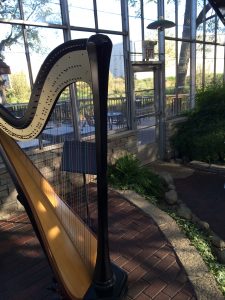 Champaign-Urbana Harpist