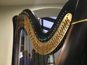 St. Louis Harpist