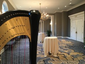 Dearborn Michigan Harpist - Lebanese Wedding Music
