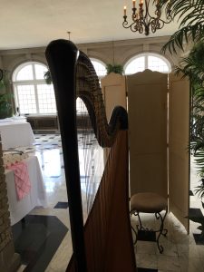 Indy Harpist - Wedding at Laurel Hall