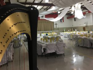 Missouri Harpist for Events