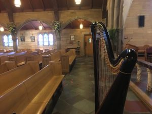 Harpist in Princeton Illinois
