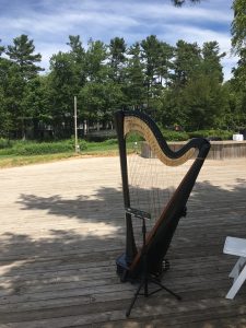 Northern Michigan Harpist