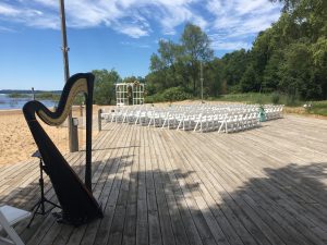 Harp for a Wedding on the Beach