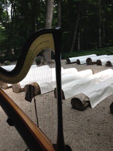 Bloomington Normal Harpist
