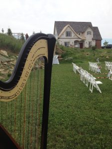 Eau Claire Harpist for Weddings
