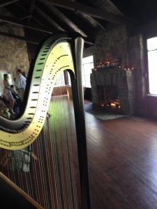 West Michigan Wedding Harpist