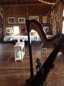 Northern Indiana Harpist