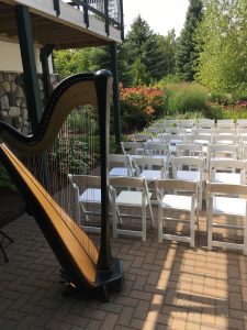 Northern MI Wedding Harpist
