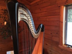 Harp Player in Western Iowa
