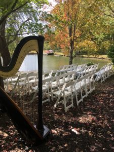 Kansas City Wedding Harpist