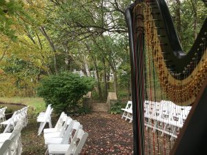 Kansas Harpist in Overland Park