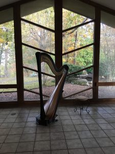 Arkansas Harpist for Weddings