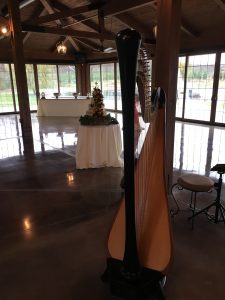 Wedding Harpist Rockford