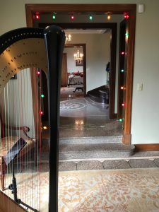 Louisville Harpist