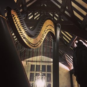 Des Moines Harpist