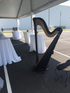 Harpist in Alabama