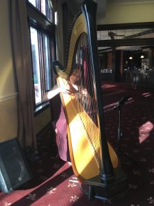 Springfield IL Harpist