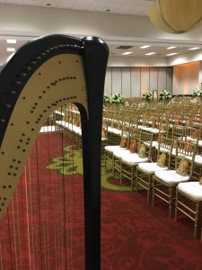 Des Moines Harpist for Weddings