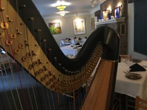 Harp Player Stevens Point