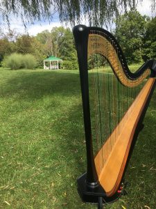 Harpist in St. Louis
