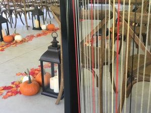 Fall Wedding Music Harp Indiana