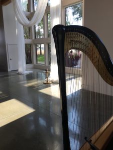 Champaign Harp Player
