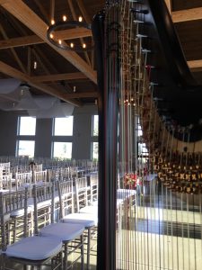 Champaign-Urbana Harpist