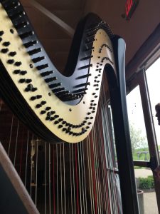 Harp Player in Indy