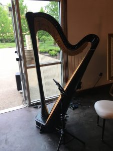 Indy Harpist for Weddings