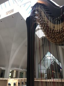 Peoria Illinois Harpist for Weddings