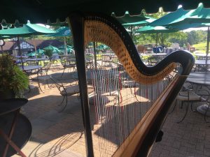 Pittsburgh Harp Player