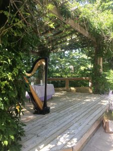 Battle Creek Harpist