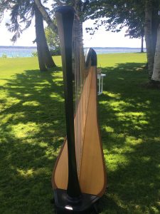 Petoskey Michigan Harpist