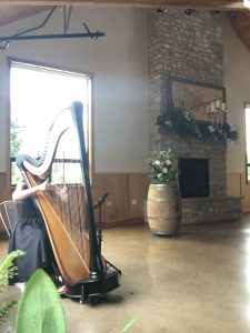 St. Louis Wedding Harpist