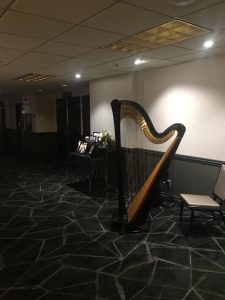 Madison WI Harpist