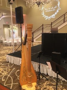 Middle Eastern Wedding Music Chicago